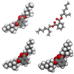 bis(2-ethylhexyl) phtalate (DEHP) molecule