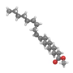 methyl lineolate (biodiesel) molecule