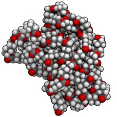polycaprolactone molecule