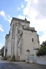 Fototapeta na wymiar Chateau Montsoreau 5