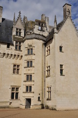 Fototapeta na wymiar Dziedziniec zamku Montsoreau