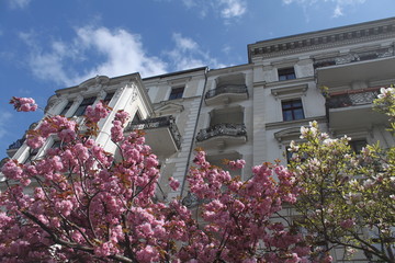 Fototapeta premium Frühling in Berlin