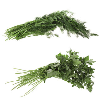 dill, parsley, herbs, spices,