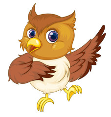 Isolated comical owl