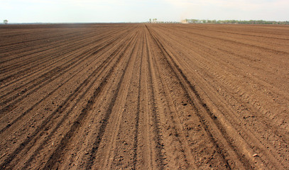 Cultivated soil