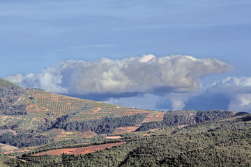 Paisaje de montaña en primavera