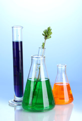 Different laboratory glassware with color liquid