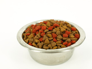 Cat Food