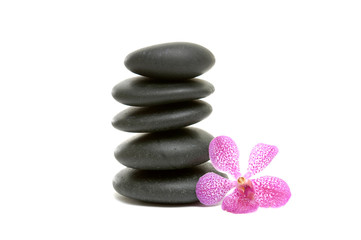 Fototapeta na wymiar orchid and five black Stones balanced stones