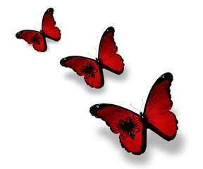 Three Albanian flag butterflies, isolated on white