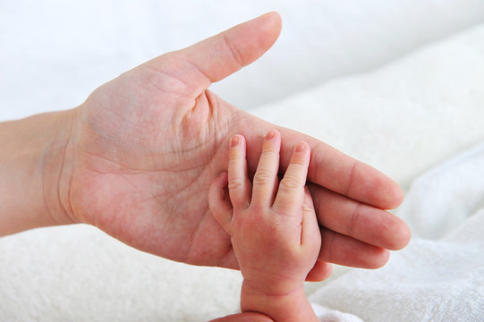 Hands adult and baby