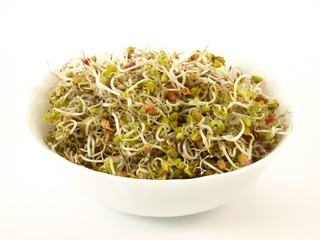 Sprouts, isolated