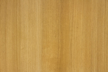 Naklejka premium wood wallpaper, yellow beech wood surface.