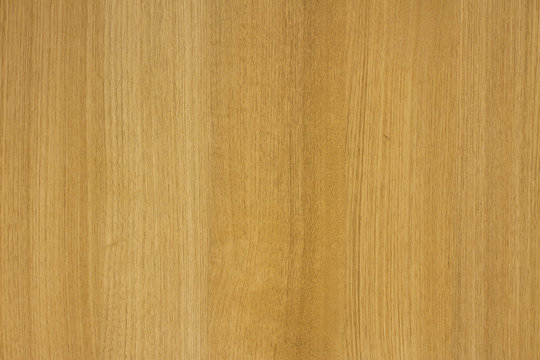 wood wallpaper, yellow beech wood surface.