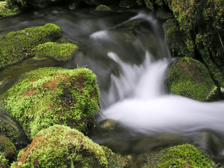 Mountain Stream