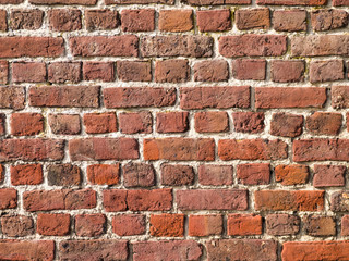 Brick Wall Texture
