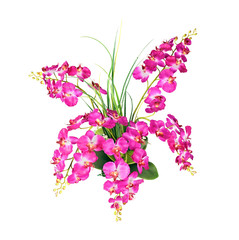 Fototapeta premium beautiful pink orchid flower