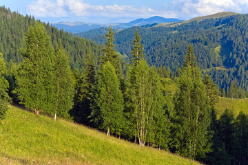 Summer mountain landscape