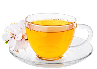 White cup of Tea and Apricot Flowers