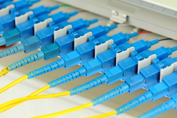 network cables and servers in a technology data center