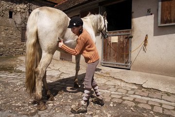enfant pansage cheval 5