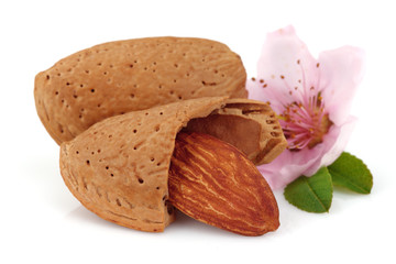 Almonds with pink flower