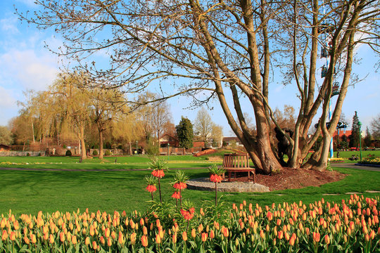Gartenidylle Bilder Durchsuchen 25,423 Archivfotos,