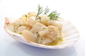 Coquille Saint Jacques