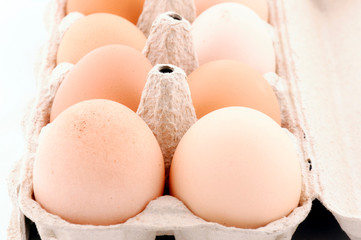 Chicken eggs