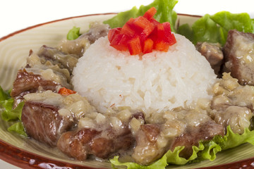 Rice and pork japanese style