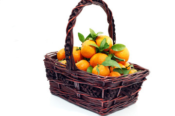 Oranges in the basket.