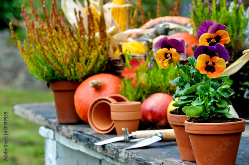 "Gartentisch" Stockfotos und lizenzfreie Bilder auf Fotolia.com - Bild