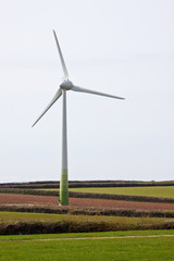 Fototapeta premium Green Alternative in the Cornish Countryside UK