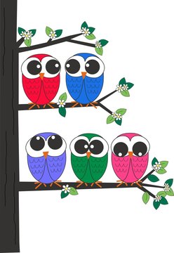a group of owls sitting in a tree