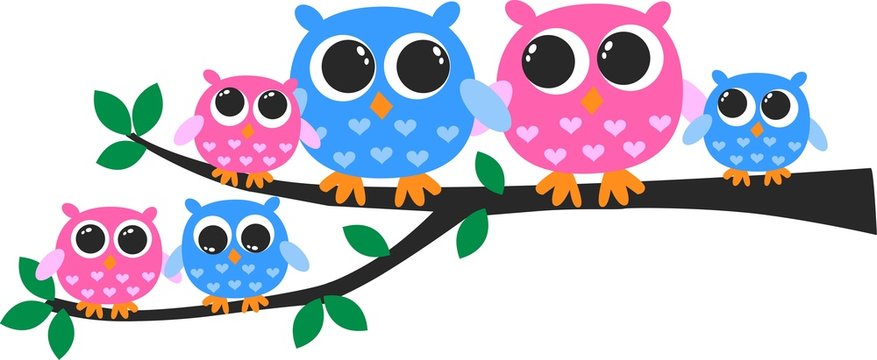 cute owl family