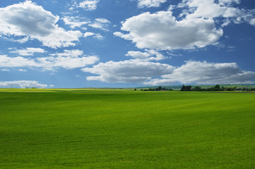Landscape - sky and grass