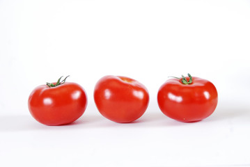 tomatoes in white background