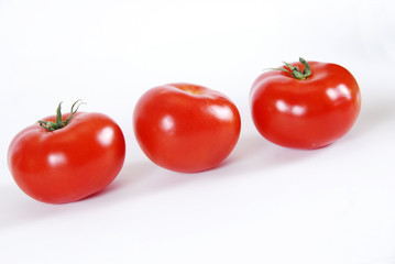 tomatoes in white background