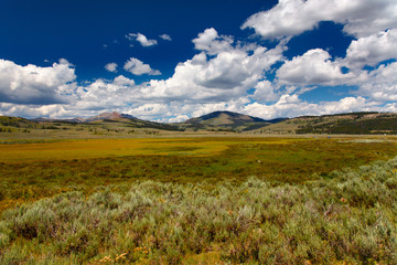 Yellowstone NP © bono