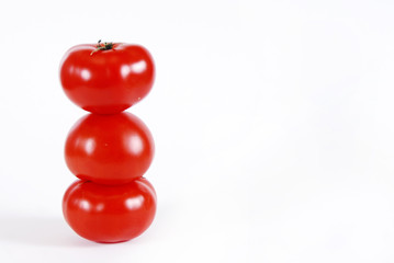 tomatoes in white background