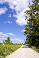 rural gravel road between meadow and forest
