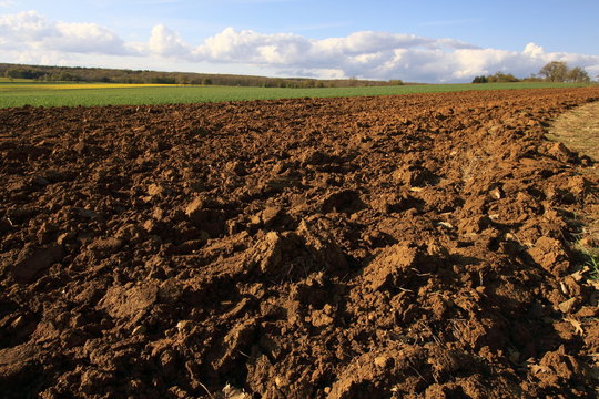 champs labour&eacute;