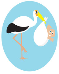 Obraz premium Stork with baby
