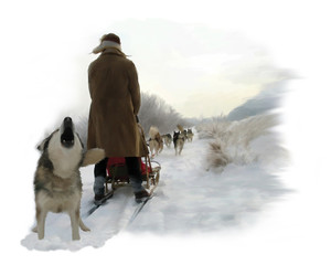 Dog sledding in the snow - obrazy, fototapety, plakaty