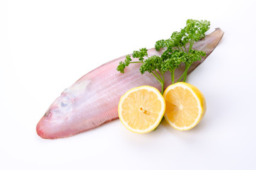 クロウシノシタ