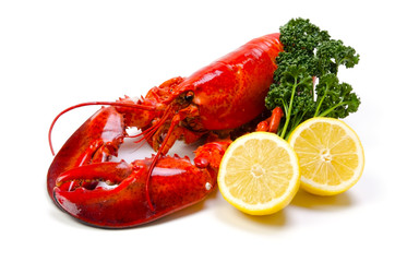 アメリカンロブスター