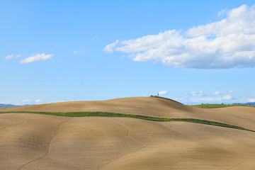 Fototapeta na wymiar Tuscany, undulating plowed field rural landscape, Siena, Italy.