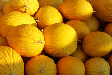 Meloni gialli 2 © mickyso