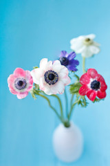 Anemone flowers