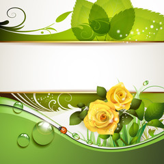 Springtime background with roses